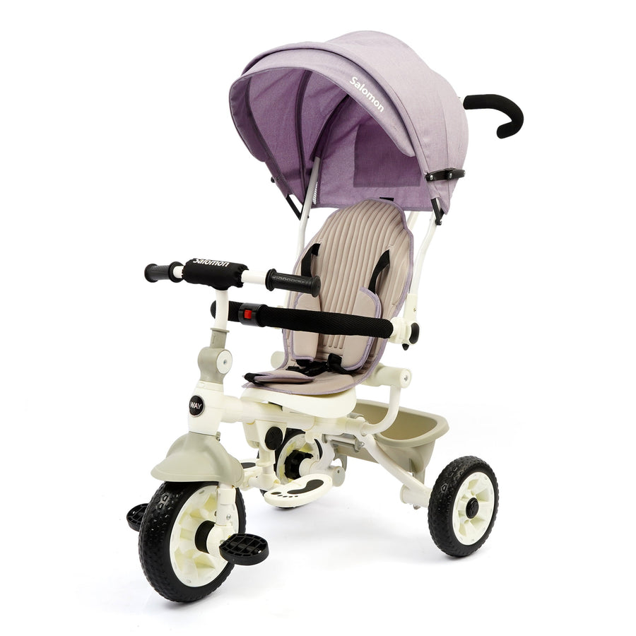 DLX Kids Tricycle