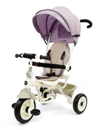 DLX Kids Tricycle
