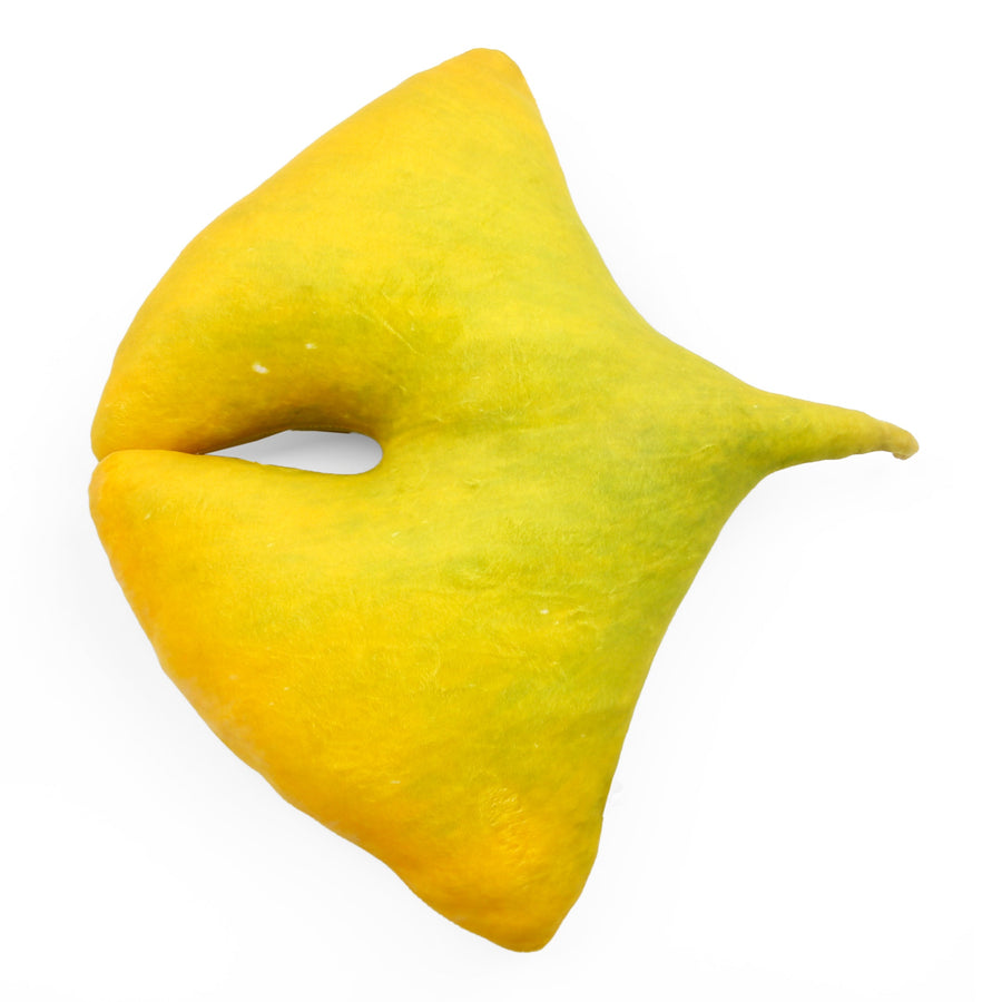 Soft Toys - Premium Quality Guaranteed (SFT-1750)