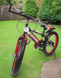 Bicycle 20"
