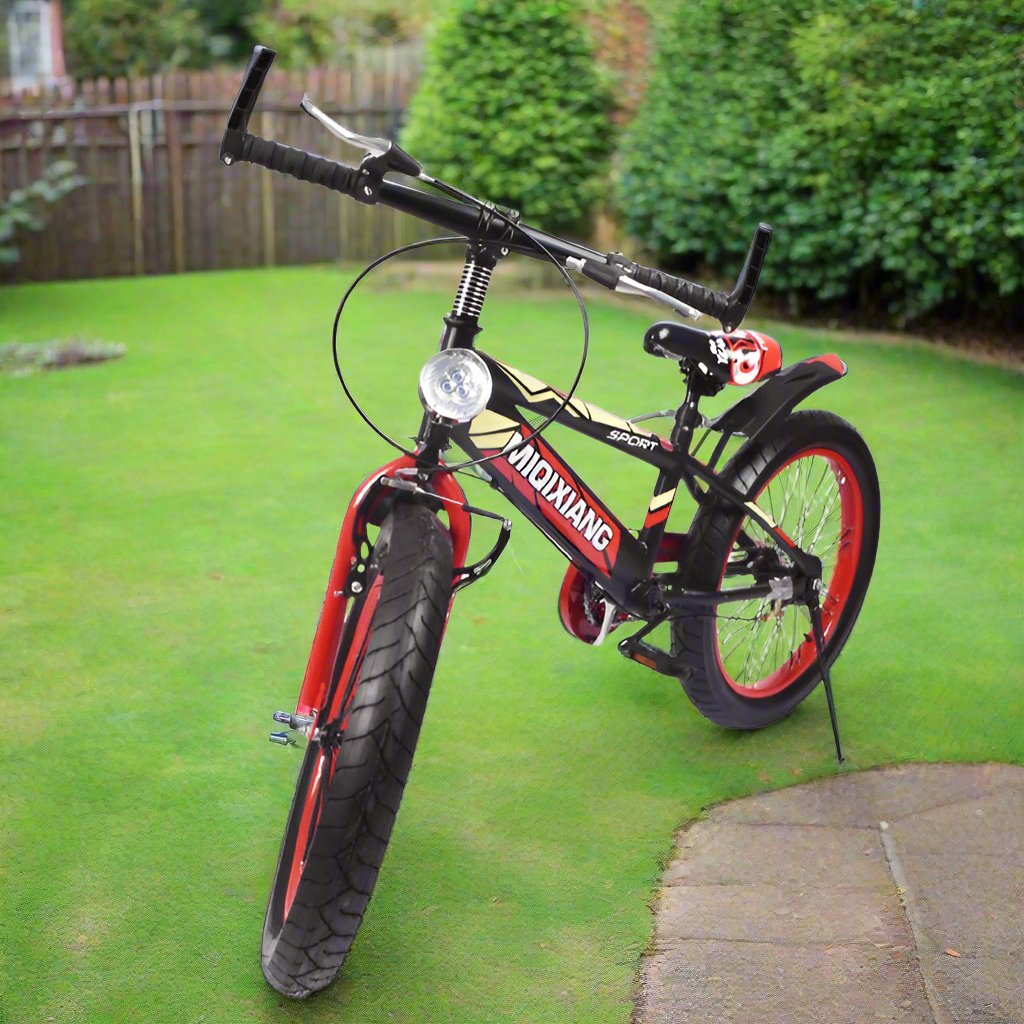 Bicycle 20"