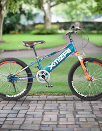 Bicycle 20"
