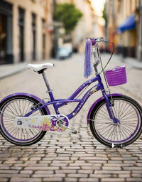 Bicycle 20"
