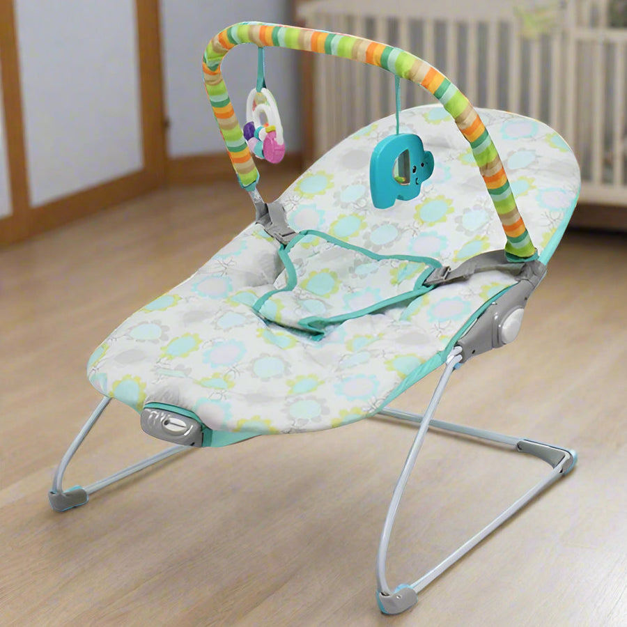 Baby Bouncer