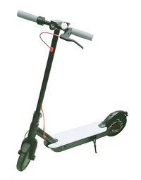 Electric Scooter Dlx
