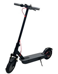 Elcetric Scooter Dlx
