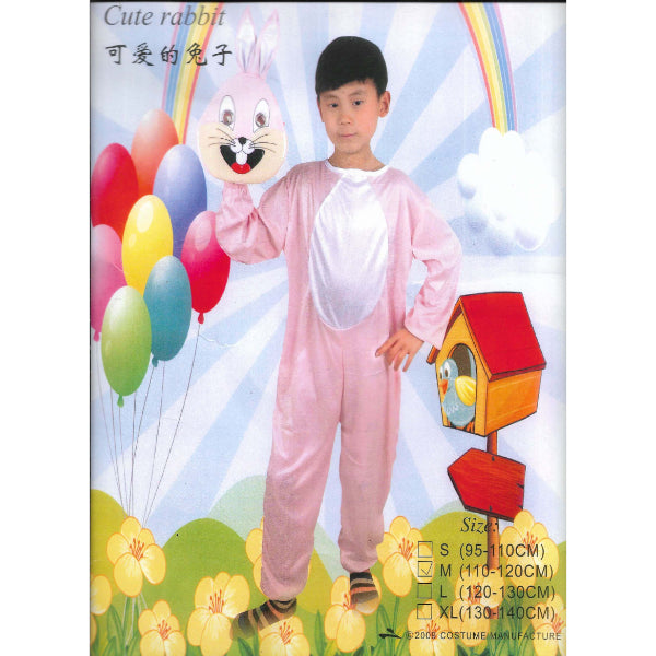Fancy Dress Bunny