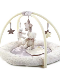 Baby Play Gym
