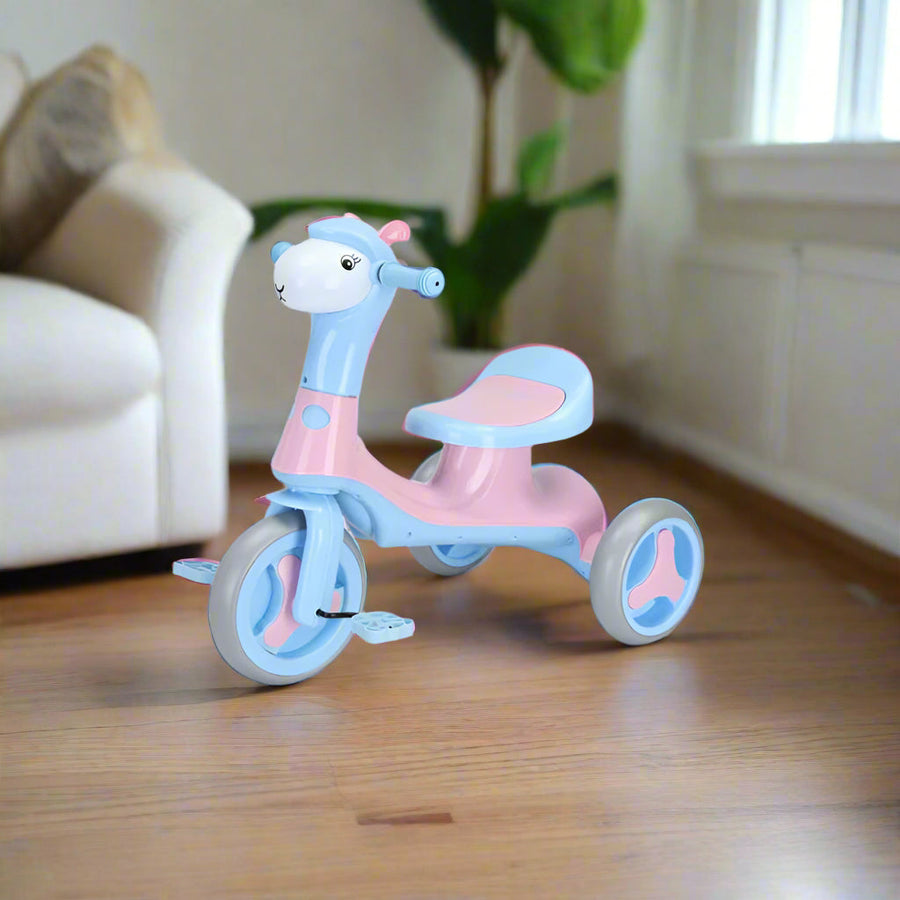 Kids Tricycle