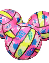 Volley Ball
