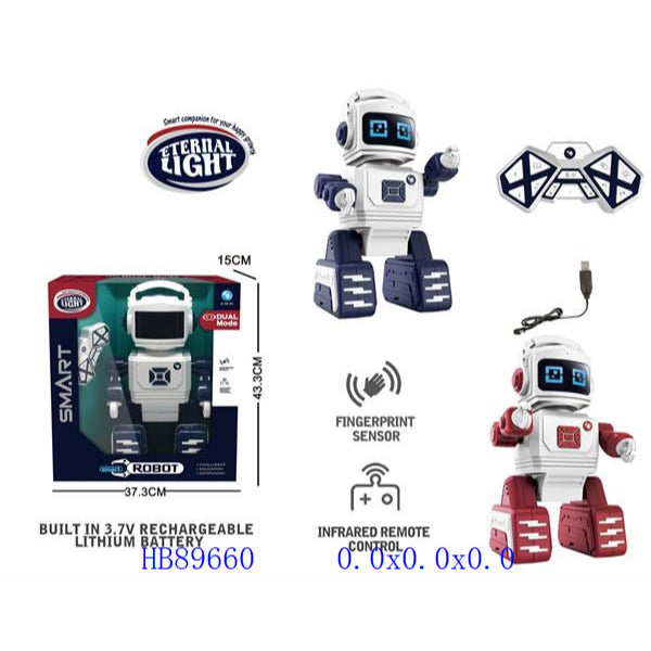 Robbot Toy