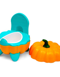 Potty Seat
