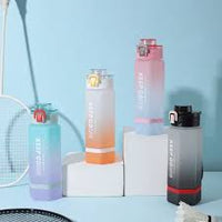 Water Bottle  Colourfull
